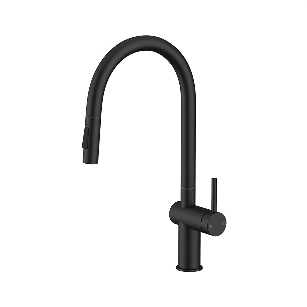 Pull Out Sink Mixer Matt Black