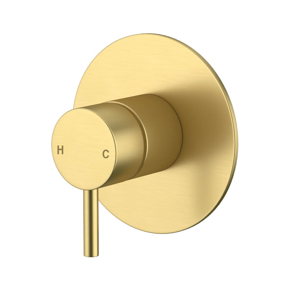 Wall Mixer 110mm Cover Plate Brushed Gold