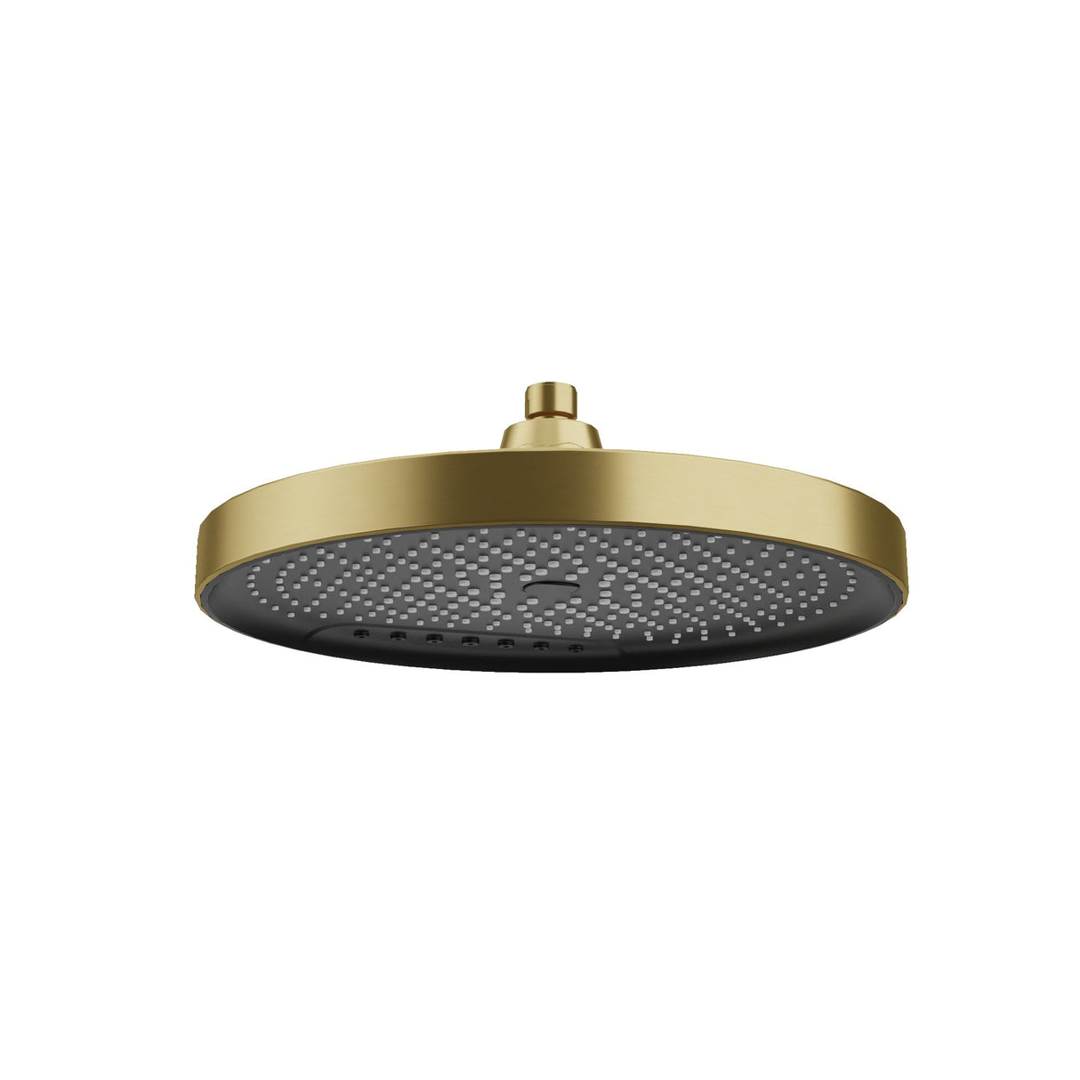 300mm Shower Head Brushed Gold