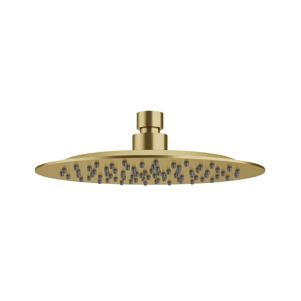 200mm S/S Shower Head Brushed Gold