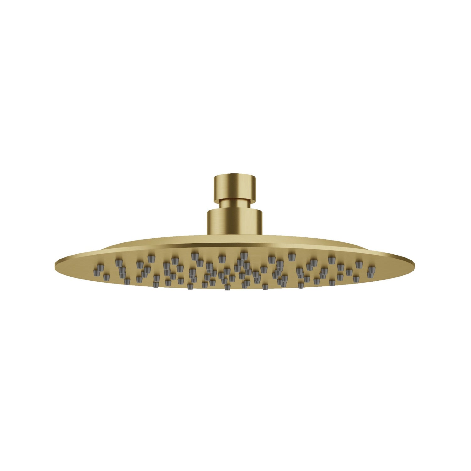 200mm S/S Shower Head Brushed Gold