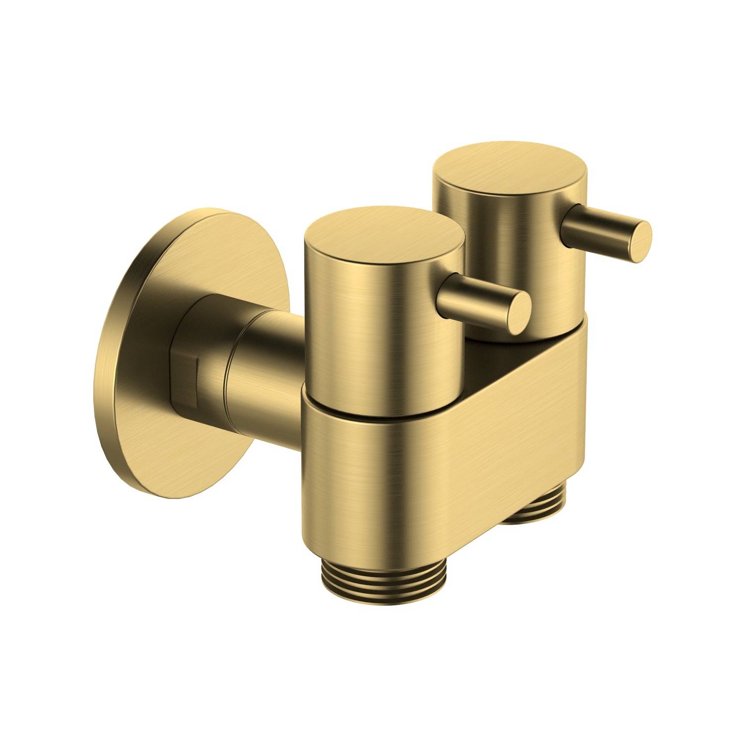 DN15 Dual Cistern Tap Brushed Gold